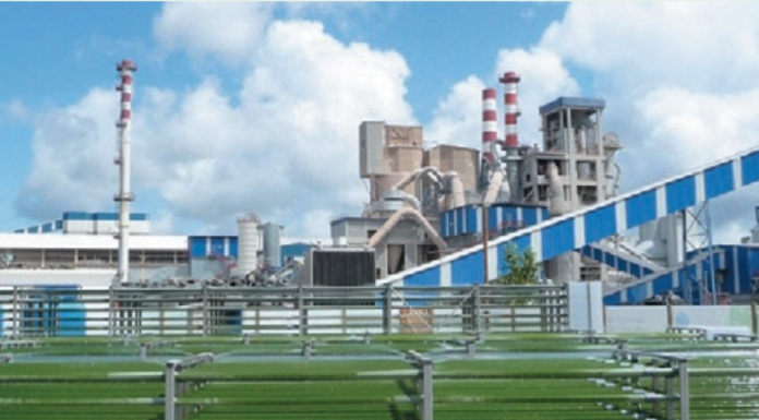 Produção de microalgas de Pataias interessa à Arábia Saudita