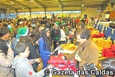 Nova campanha Desembrulhar Sorrisos para recolher brinquedos para crianças