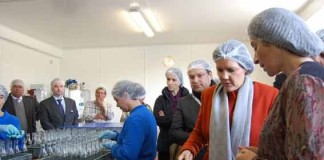 Ministra da Agricultura incentiva investigação para uma maior produção de ginja de Óbidos