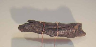 A Família Feliz de Paula Violante