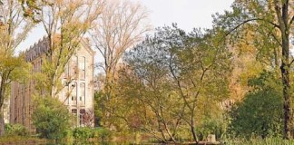 Parque D. Carlos I sem iluminação e sem manutenção