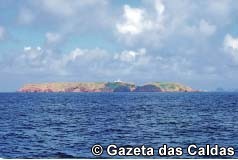 Cientistas procuram salvar a biodiversidade das Berlengas