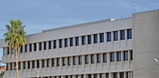 Removida palmeira em frente à Câmara por ameaça de queda