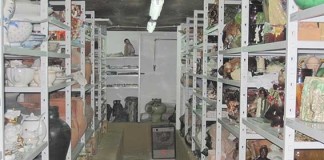 Museu de Cerâmica abre o seu acervo ao público Gazeta das Caldas