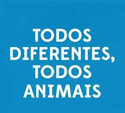 Agenda Cultural Gazeta das Caldas