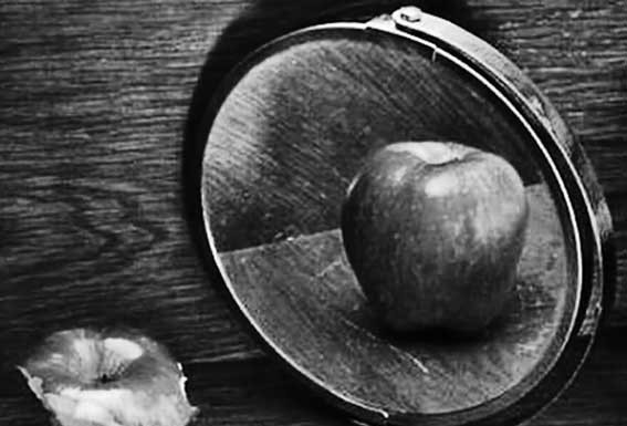 Capital psicológico / Mara Correia – A essência da aparência Gazeta das Caldas