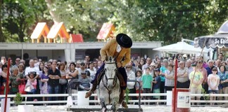 Oeste Lusitano vai ter mais espectáculos e mais expositores Gazeta das Caldas
