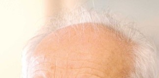 Distrito de Leiria com dois candidatos à Presidência da República Gazeta das Caldas