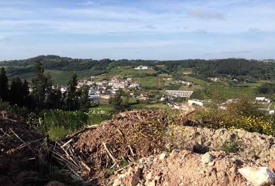 Uma lixeira com vista Gazeta das Caldas