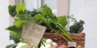 Bee Organic investe 120 mil euros para reforçar produção biológica Gazeta das Caldas