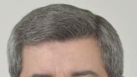 A semana do Zé Povinho Gazeta das Caldas