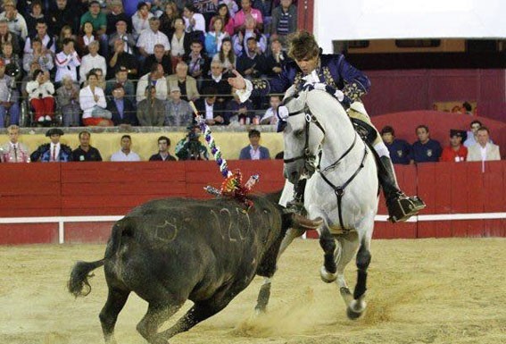 Marco José assinala 20 anos de alternativa e é homenageado nas Caldas Gazeta das Caldas
