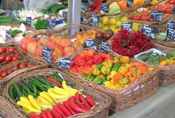 Mil e uma maneiras de “mostrar a fruta”… Gazeta das Caldas