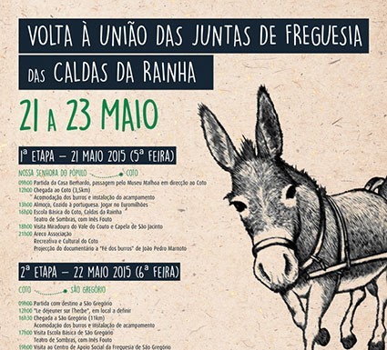 A burra Rosinha de Pedro Bernardo vai dar uma volta pelas freguesias Gazeta das Caldas