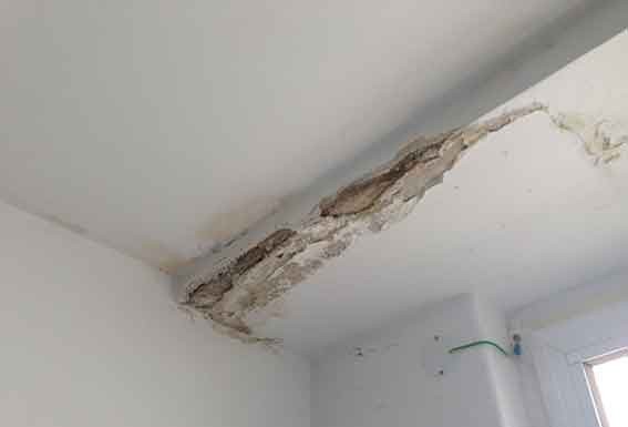 Assembleia Municipal pede reunião com ministro da Saúde Gazeta das Caldas