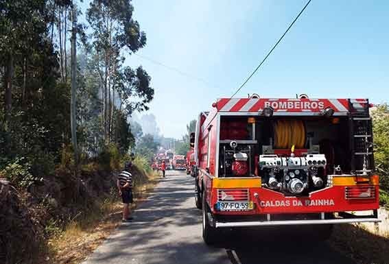 Incêndio florestal provoca susto na Torre Gazeta das Caldas