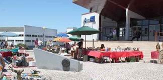 Uma viagem ao séc. XX na feira de antiguidades da Expoeste