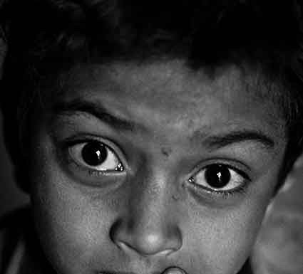 Os retratos de viagem de João Martins Pereira Gazeta das Caldas