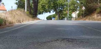 Raízes na estrada da Foz já causaram acidentes Gazeta das Caldas