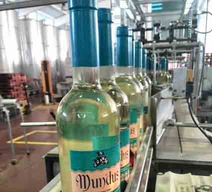 Vinho Mundus com rótulo desenhado por aluno da ESAD Gazeta das Caldas