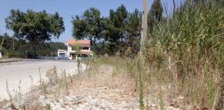 Esclarecimento dos eleitos do PSD da Assembleia de Freguesia da Foz do Arelho Gazeta das Caldas