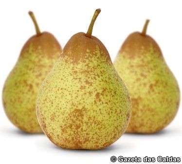 América Latina na mira das exportações de pêra Rocha