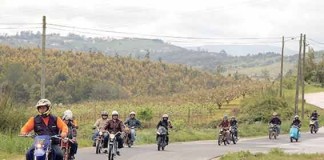 Motas e Motorizadas Clássicas nas Gaeiras notícias das Caldas