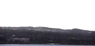 Secretário de estado “chocado” com a desmatação no Bom Sucesso Gazeta das Caldas