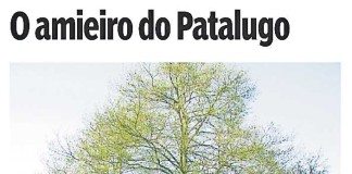 Gazeta das Caldas