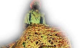 Literatura aliada à folia leva 30 mil a Óbidos e regressa em 2016 Gazeta das Caldas