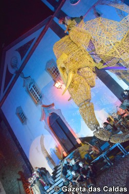 elefante DSC_0279 copy