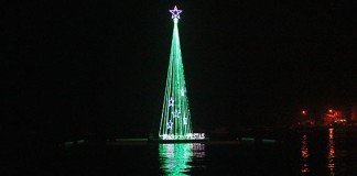 Milhares de pessoas para ver a árvore de Natal flutuante em S. Martinho Gazeta das Caldas