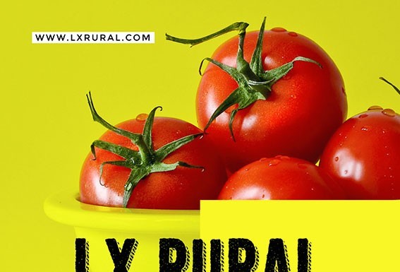 Produtos do Oeste vão ter mercado dedicado em Lisboa Gazeta das Caldas