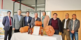 Alunos da EHTO casam a abóbora da Lourinhã com o moscatel de Setúbal Gazeta das Caldas