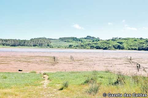 FD-BracoBarrosa copy