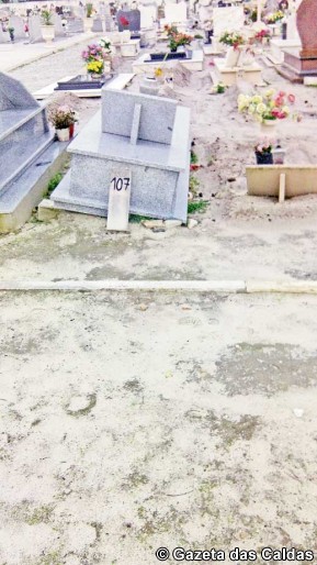 IMG_20151231_164819 copy