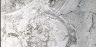 «Negro marfim» de Victor Oliveira Mateus Gazeta das Caldas