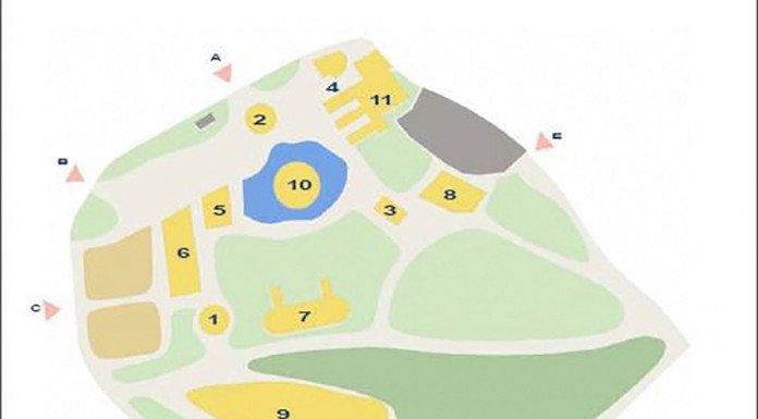 Oeste Lusitano vai ter espectáculos e provas hípicas no Parque