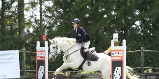 Associação Equestre “Os Amigos do Pintas” mais uma vez de parabéns