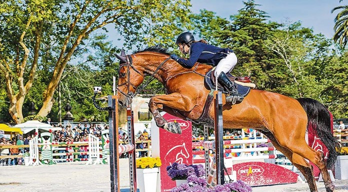 Oeste Lusitano trouxe os concursos hípicos de regresso à cidade