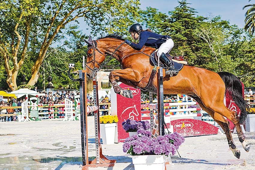 PRIMEIRA-IMG_9124-cópia