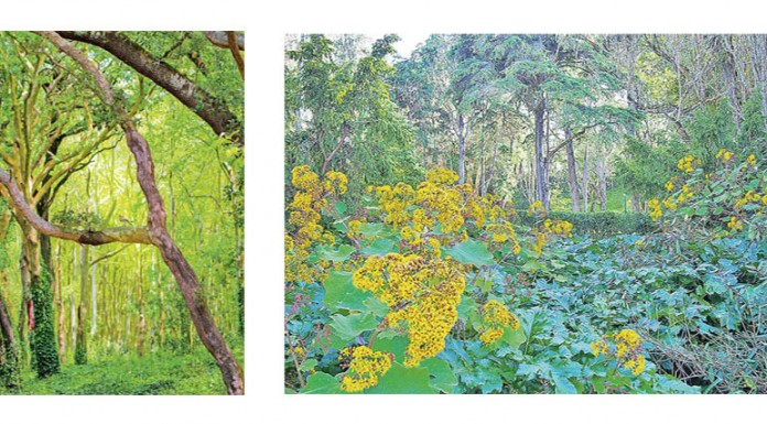 Dois primeiros e um terceiro lugar no passatempo fotográfico da Gazeta