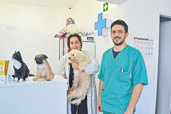 Abriu um novo hospital veterinário nas Caldas