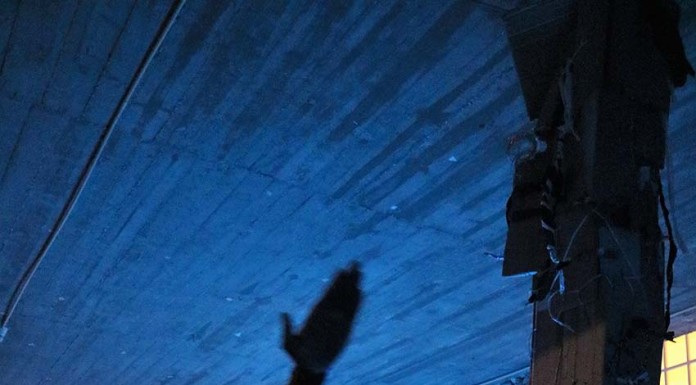 Noites da Lua Azul – arte contemporânea em diálogo com o património histórico