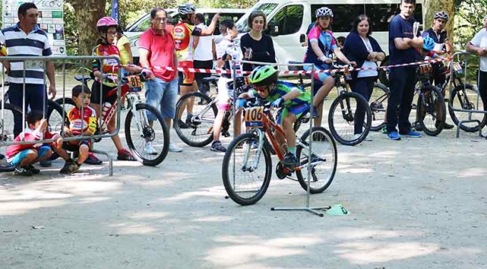 Encontro de escolas homenageou António Castanheira