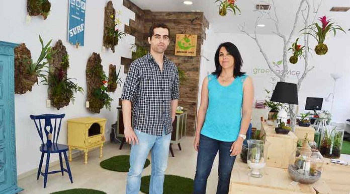 Cuidar dos jardins dentro e fora de casa