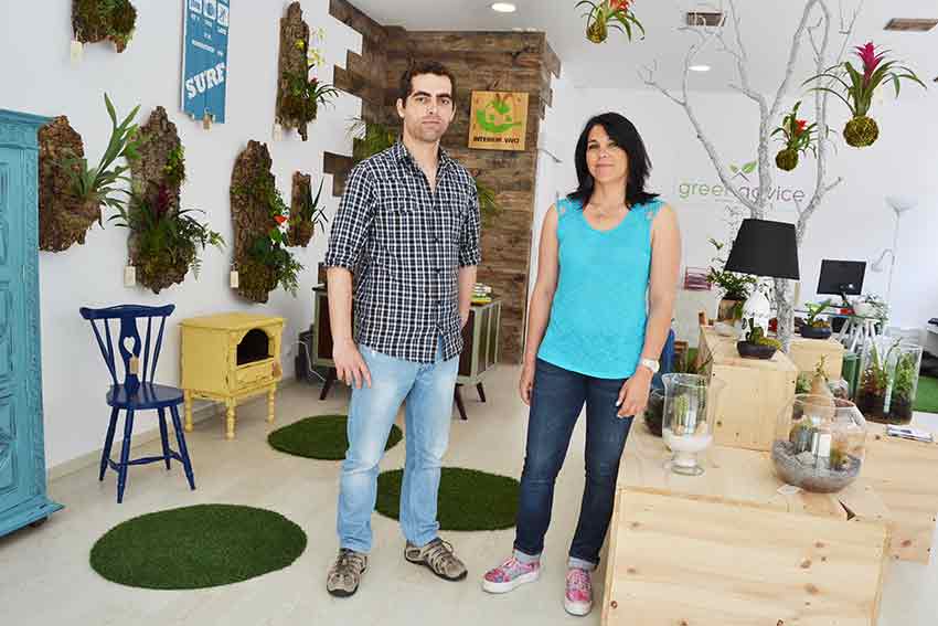 Cuidar dos jardins dentro  e fora de casa