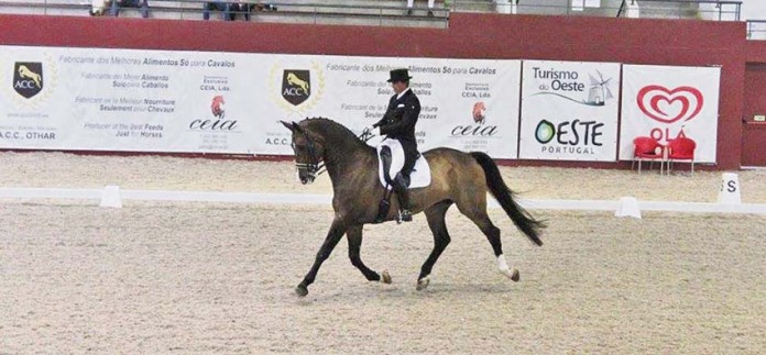 Centro Equestre Internacional de Alfeizerão notícias das Caldas