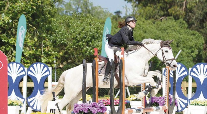 Brilhante representação da Associação Equestre Klug com Six