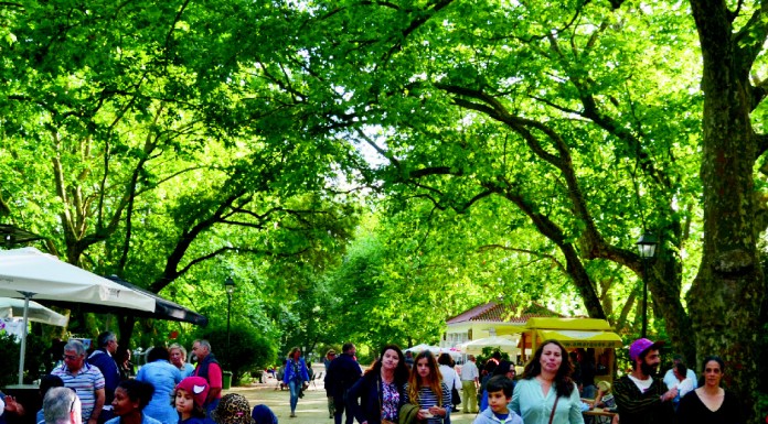 Parque D. Carlos I recupera o brilho de outros tempos